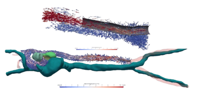 Clinical Validation